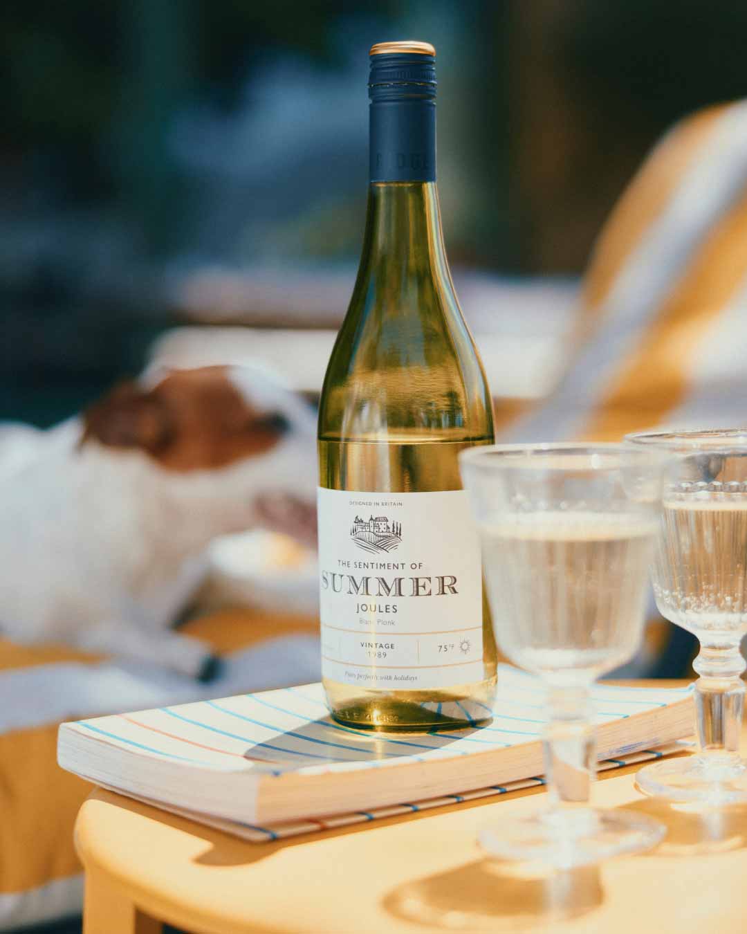 festival-editorial-packing