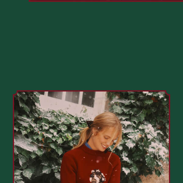 THE DACHSHUND JUMPER 