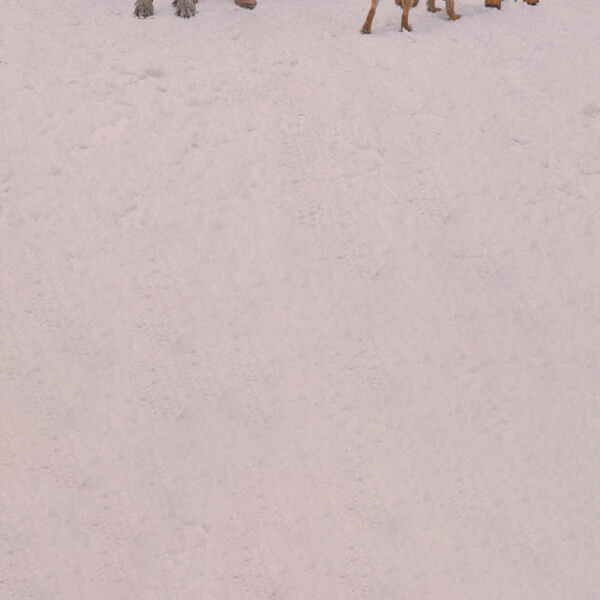 No one does Christmas like Joules. 