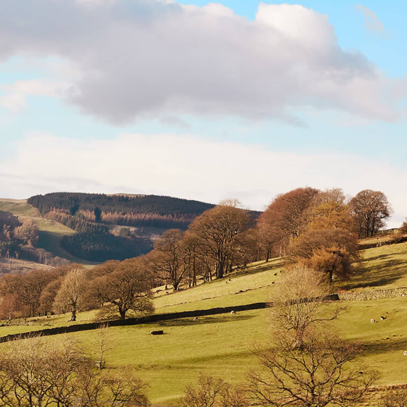 5 Reasons We Love Life In The Countryside